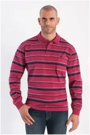 Gestreepte lange mouw polo Plus Man
