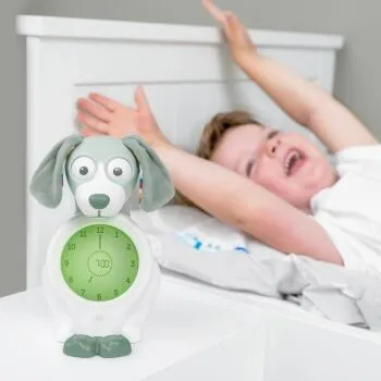 Zazu Slaaptrainer Davy De Hond Green
